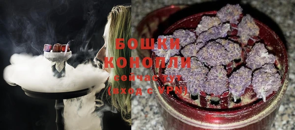 трава Рославль