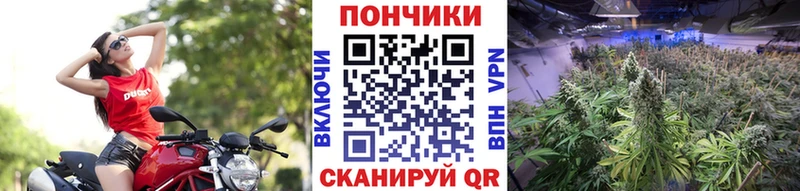 продажа наркотиков  mega как войти  Марихуана MAZAR  Лангепас 